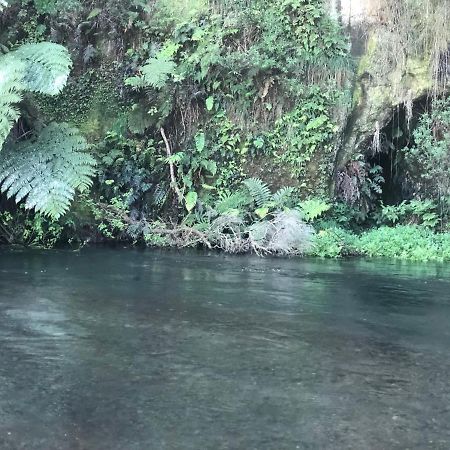 A1 Troutfishing At Tirau Villa Luaran gambar