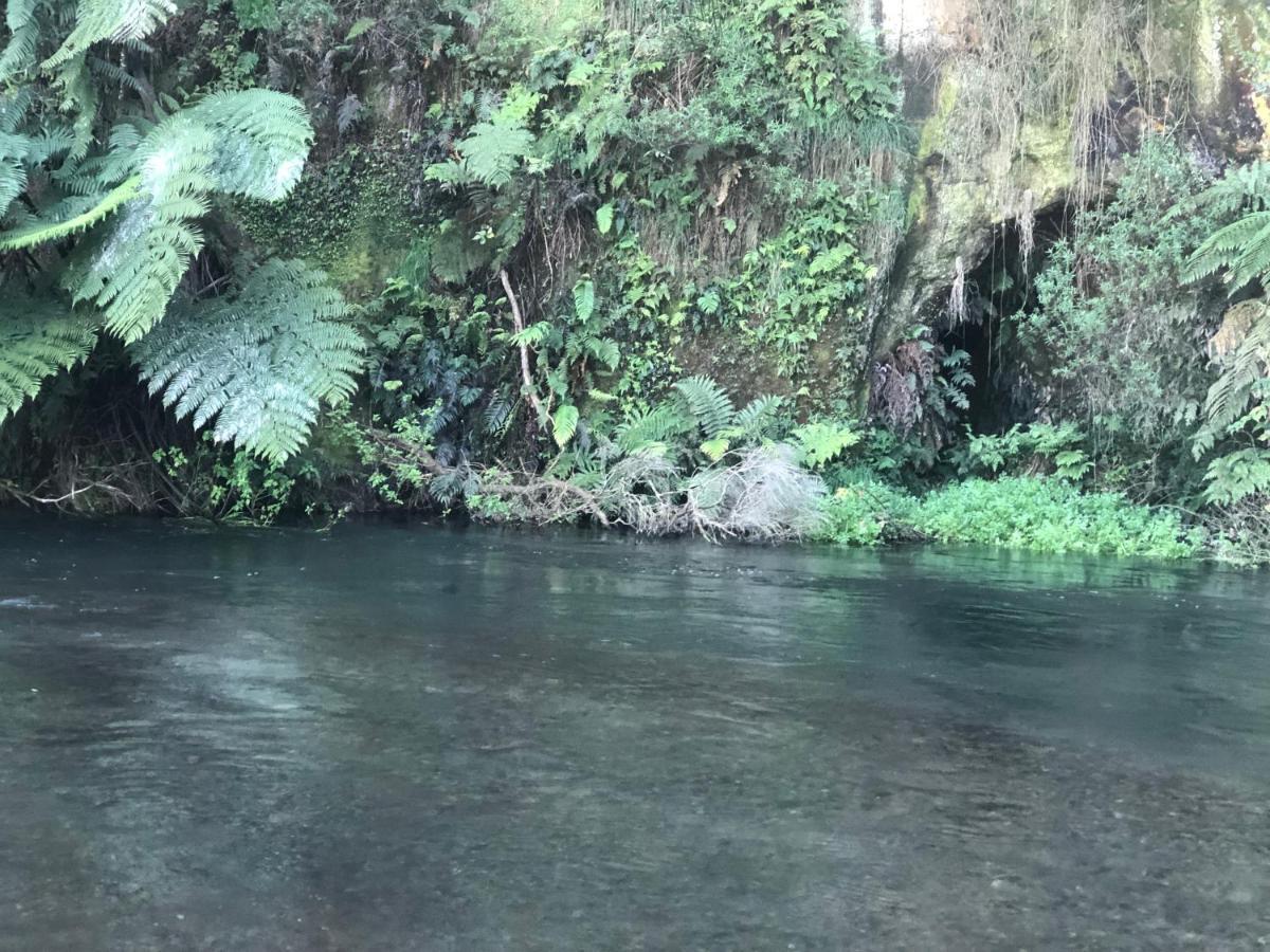 A1 Troutfishing At Tirau Villa Luaran gambar