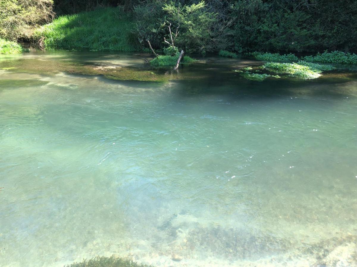 A1 Troutfishing At Tirau Villa Luaran gambar
