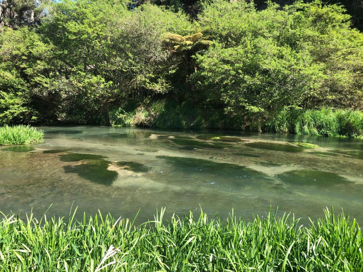 A1 Troutfishing At Tirau Villa Luaran gambar
